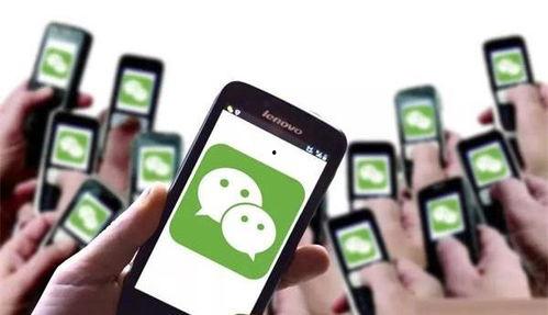 吃瓜福利爆料群微信,微信中的神秘信息乐园