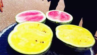 吃瓜爆料深圳,吃瓜爆料揭秘幕后真相