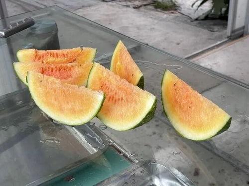 农村吃瓜爆料,揭秘乡村生活那些事儿