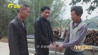 第一书记电影,筑梦乡村的青春足迹